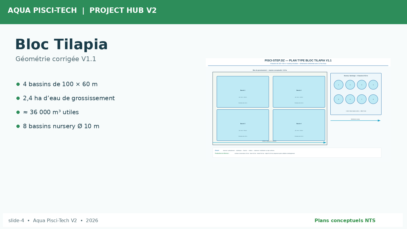 Slide 4 pitch